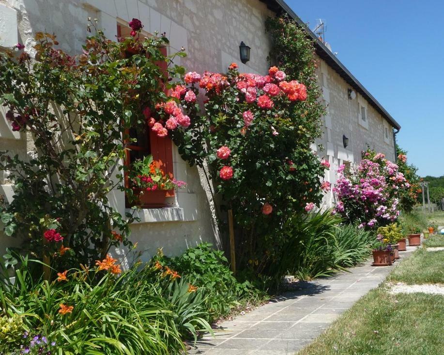 La Maison Des Fleurs Saint-Senoch المظهر الخارجي الصورة